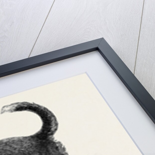 The Fire-Escape-Man's Dog Bill by Anonymous