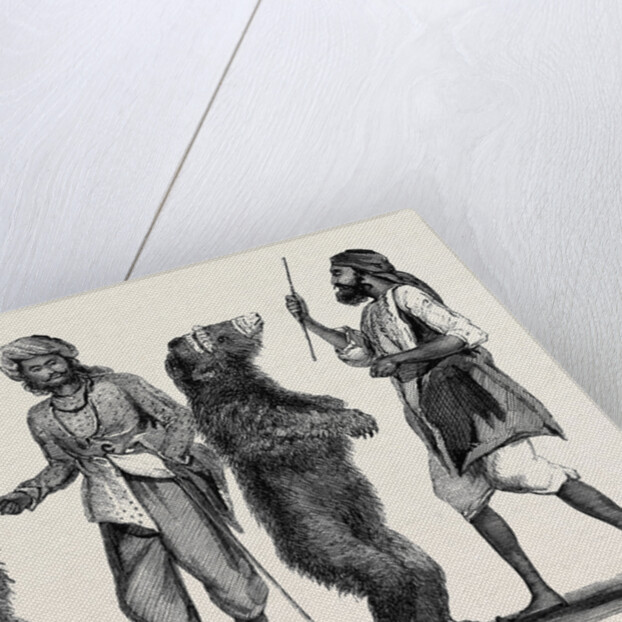 Dancing Bears in India from a Drawing by W. Carpenter by Anonymous