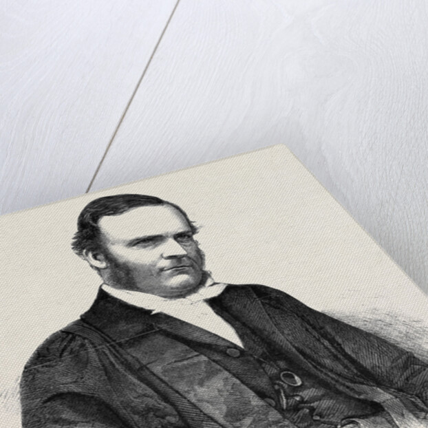 The Very Rev. Harvey Goodwin D.D. Dean of Ely. by Anonymous