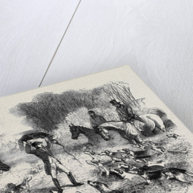 A Fox Caught in a Trap by Anonymous