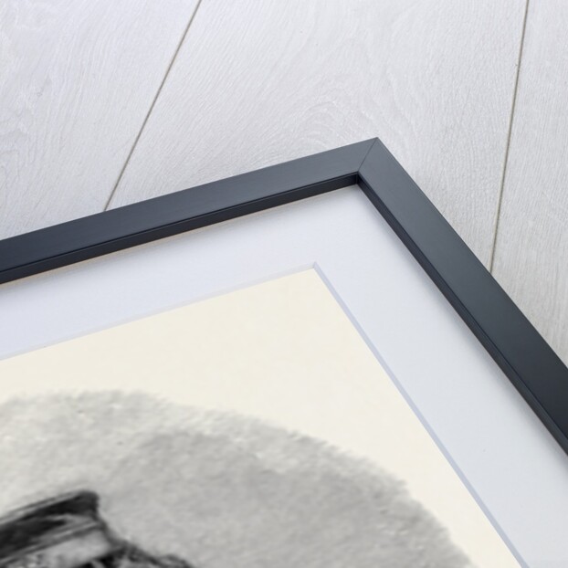 The Late Duke of Leeds by Anonymous