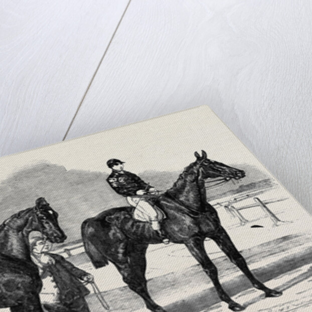 The Winners of the Derby and the Oaks, Musjid the Winner of the Derby Summerside the Winner of the Oaks by Anonymous