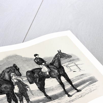 The Winners of the Derby and the Oaks, Musjid the Winner of the Derby Summerside the Winner of the Oaks by Anonymous