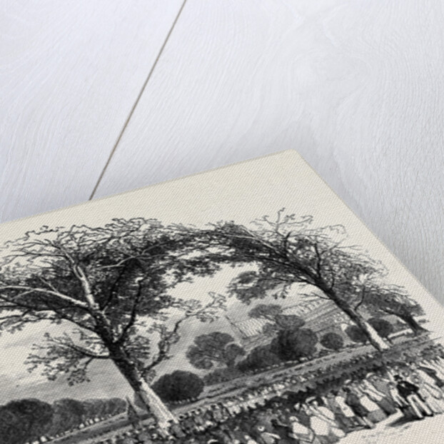 Kensington Gardens, the Band. by Anonymous