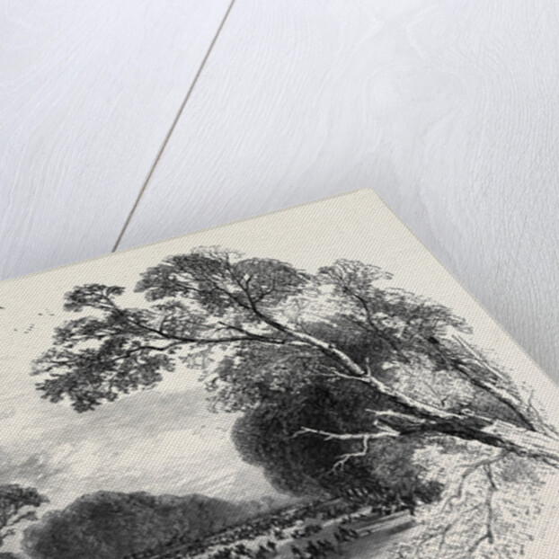 Kensington Gardens, the Broad Walk by Anonymous