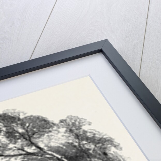 Kensington Gardens, the Broad Walk by Anonymous