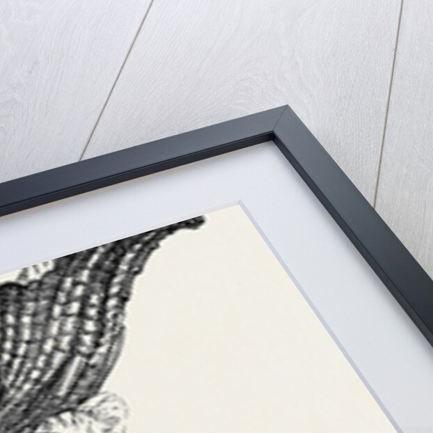 Royal Thames Yacht Club Prize Cup Presented by Her Majesty by Anonymous