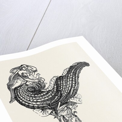 Royal Thames Yacht Club Prize Cup Presented by Her Majesty by Anonymous