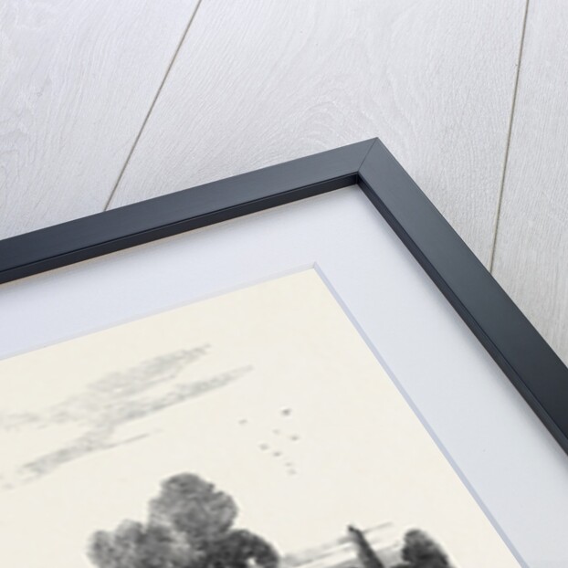 Fete of the Ancient Order of Foresters at the Surrey Zoological Gardens, on Monday by Anonymous