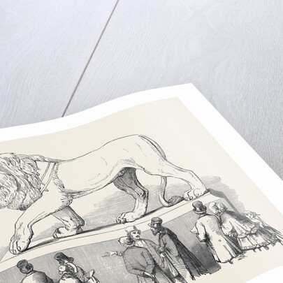 Colossal Bavarian Lion, the Great Exhibition by Anonymous