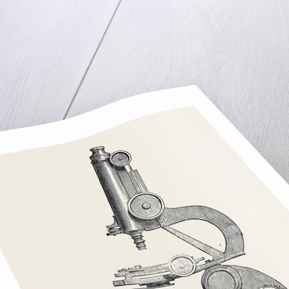 Pillischer's Microscope, the Great Exhibition by Anonymous