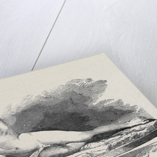 Bacchus Reclining by Professor Neurini by Anonymous