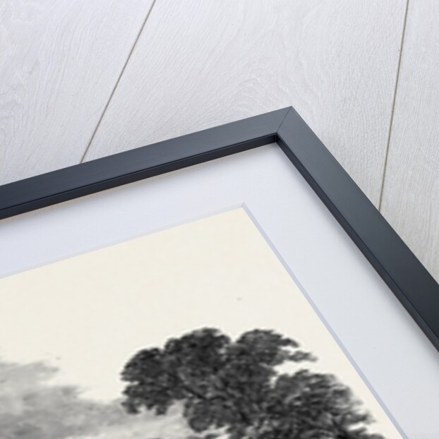 Shrubland Park, Near Ipswich, the Seat of Sir W.F. Middleton, Bart., Arrival of Prince Albert, Meeting of the British Association at Ipswich by Anonymous