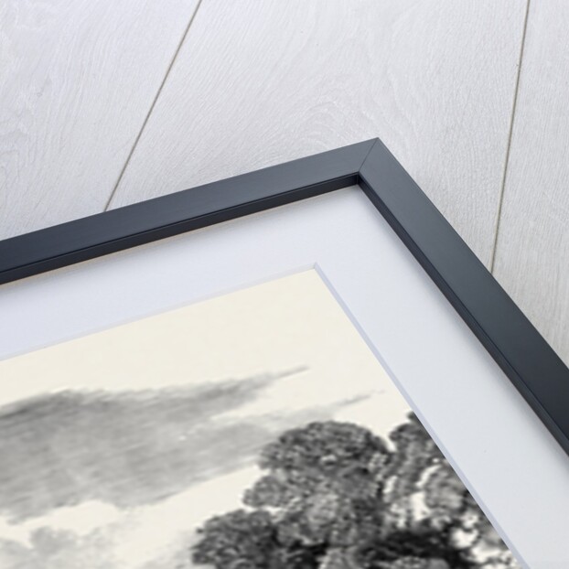 Thames Watermen's Regatta, the Chancellor's, Near Hammersmith Bridge, Wherry for Presentation to the Prince of Wales by Anonymous