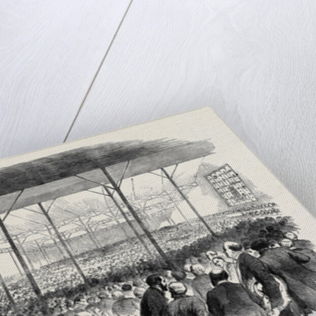 The Royal Agricultural Society's Meeting at Windsor, the Pavilion Dinner in the Home Park by Anonymous