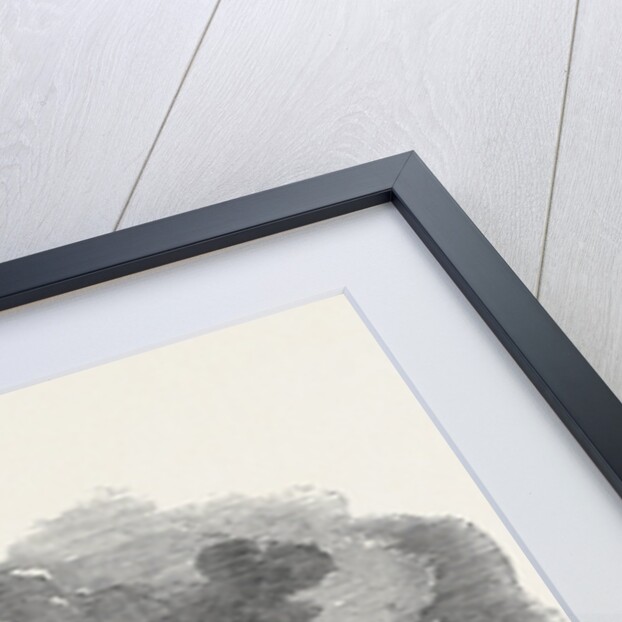 The Recent Fire at San Francisco, Ruins of Starkey Brothers and Company's Premises by Anonymous