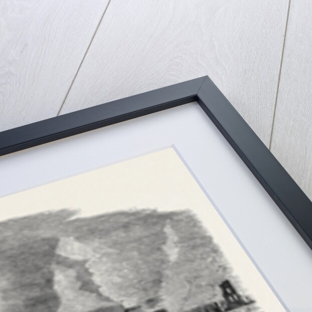 Ruins of the Recent Fire at San Francisco, from Pacific-Street Head of Montgomery Street by Anonymous