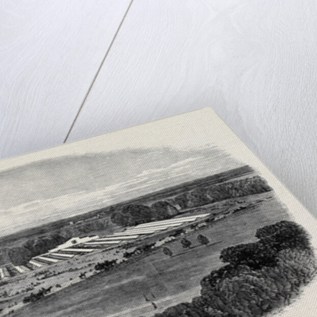 The Agricultural Show, Sketched from the North Terrace of Windsor Castle, the Royal Agricultural Society's Meeting at Windsor by Anonymous