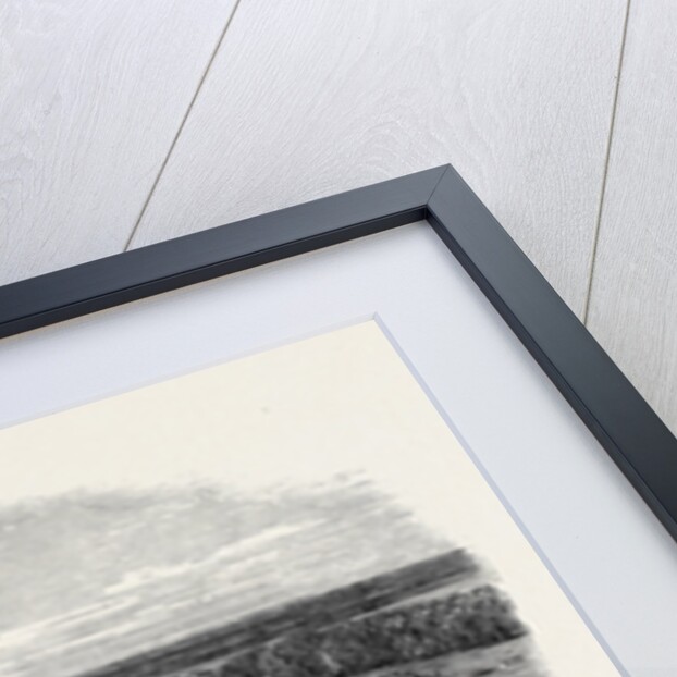 The Agricultural Show, Sketched from the North Terrace of Windsor Castle, the Royal Agricultural Society's Meeting at Windsor by Anonymous