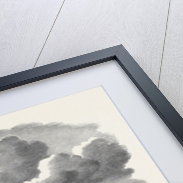 Great Gathering of Juvenile Abstainers, at Edinburgh, the Procession Passing the Scott Monument by Anonymous