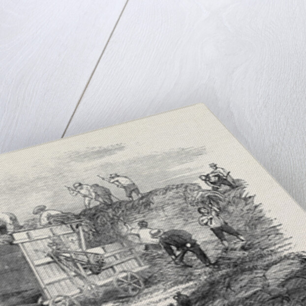 Hornsby's Portable Steam Engine and Threshing Machine, the Great Exhibition by Anonymous