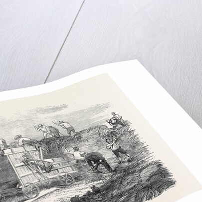 Hornsby's Portable Steam Engine and Threshing Machine, the Great Exhibition by Anonymous