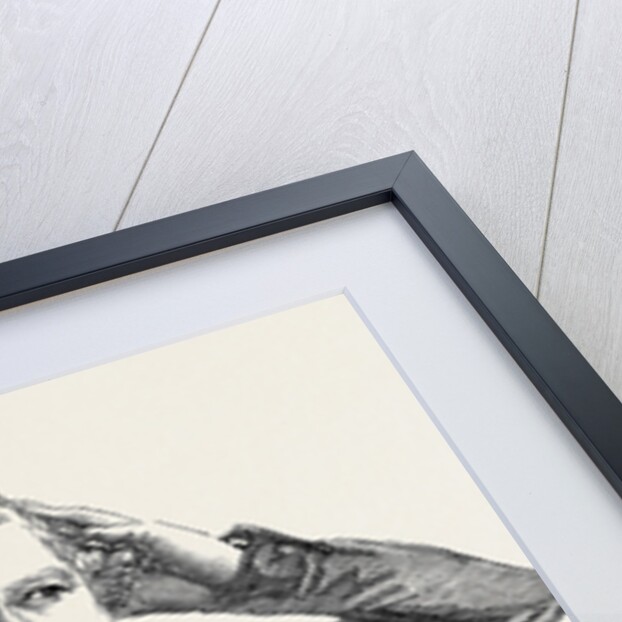 The Late M. Daguerre, from a Daguerreotype by Claudet by Anonymous