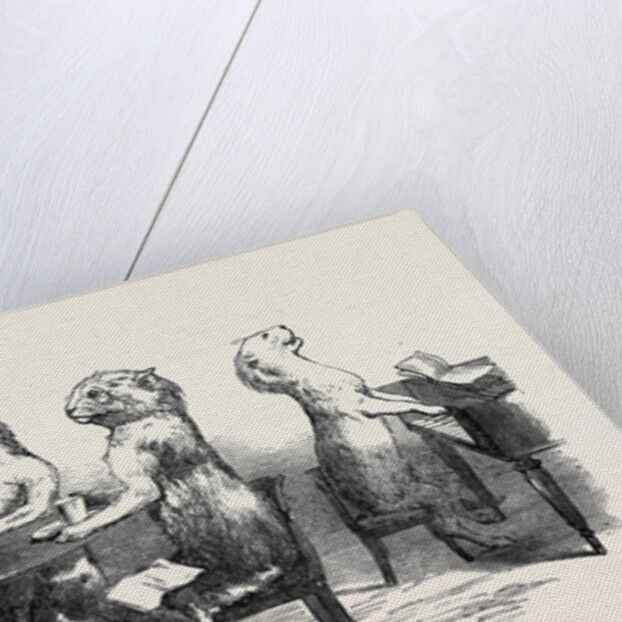 Stuffed Cats, from Wirtemburg, from a Daguerreotype by Claudet by Anonymous