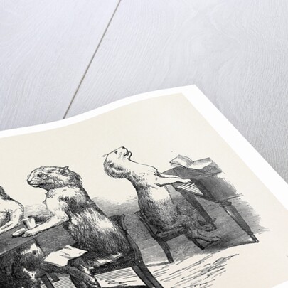 Stuffed Cats, from Wirtemburg, from a Daguerreotype by Claudet by Anonymous