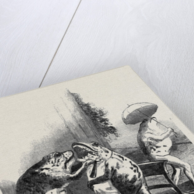 Stuffed Frogs, from Wirtemburg, from a Daguerreotype by Claudet by Anonymous