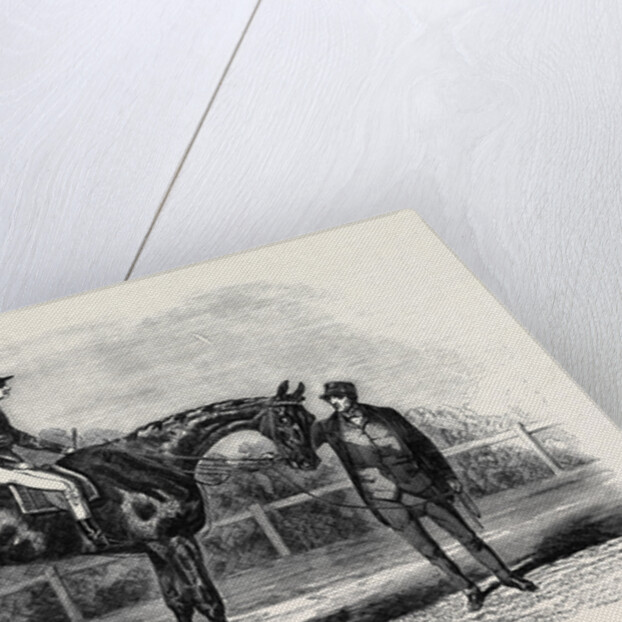 Nancy, Winner of the Goodwood Cup, 1851 by Anonymous