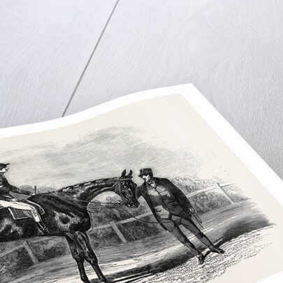 Nancy, Winner of the Goodwood Cup, 1851 by Anonymous