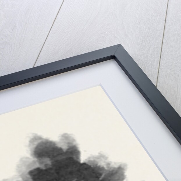 The Schooner Yacht America by Anonymous