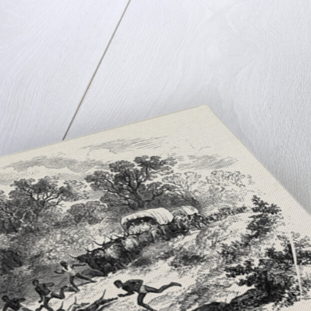 Travelling in Africa: The Rain-Pool by the Way 1869 by Anonymous