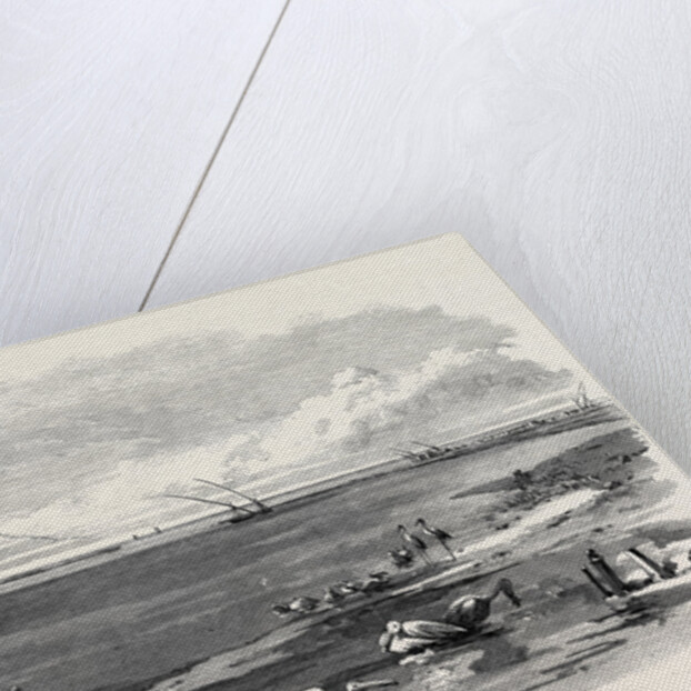 The Isthmus of Suez Maritime Canal: Lake Menzaleh 1869 by Anonymous