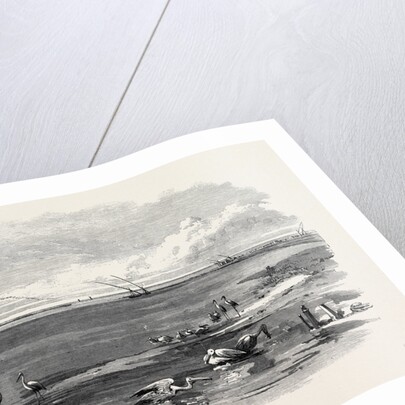 The Isthmus of Suez Maritime Canal: Lake Menzaleh 1869 by Anonymous