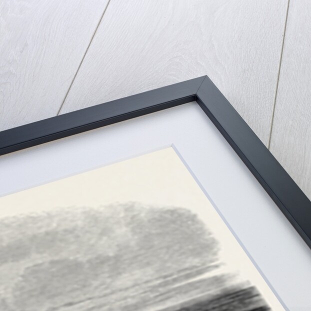 The Isthmus of Suez Maritime Canal: The Pelusian Plain 1869 by Anonymous