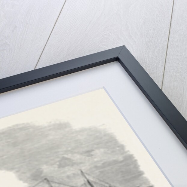 Regatta of Boats of the Channel Fleet at Lisbon Portugal 1869 by Anonymous