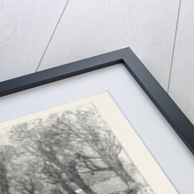 The Thames Rowing Club Athletic Sports in Putney Park London 1869 UK by Anonymous