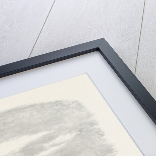 The Isthmus of Suez Maritime Canal: Dredges and Elevators at Work 1869 by Anonymous