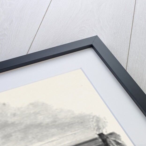 Visit of the Prince and Princess of Wales to the Suez Canal Works: Arrival of the Prince and Princess at Suez 1869 by Anonymous