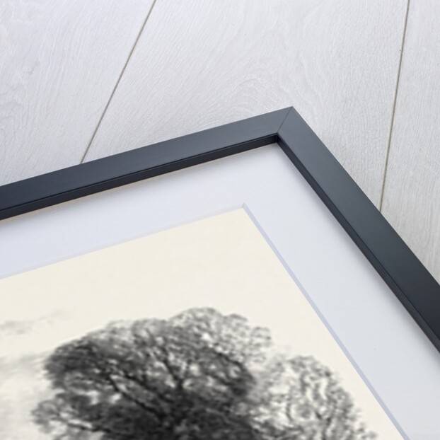 Lismore Castle Ireland Visited by Prince Arthur 1869 by Anonymous