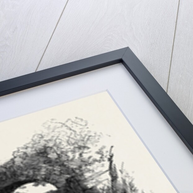 The Devon Valley Railway in Scotland: The Rumbling Brig 1869 UK by Anonymous