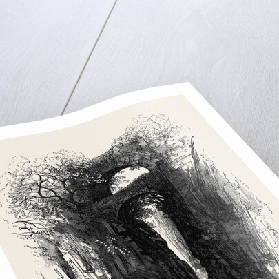 The Devon Valley Railway in Scotland: The Rumbling Brig 1869 UK by Anonymous