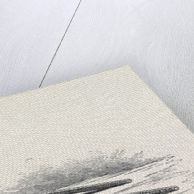 Neapolitan Calesso of the Eighteenth Century by Anonymous