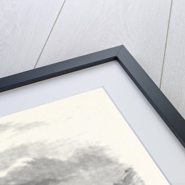 The Crimea Revisited: Balaklava 1869 by Anonymous