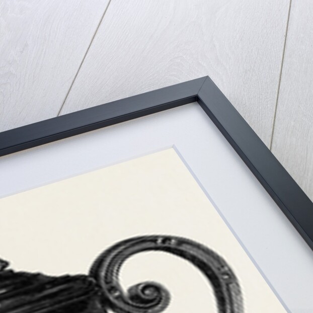 Ladies' Cup Athletic Sports King's College School 1869 by Anonymous