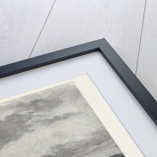 Whitsuntide Festival of Workpeople at Norwich UK 1869 by Anonymous