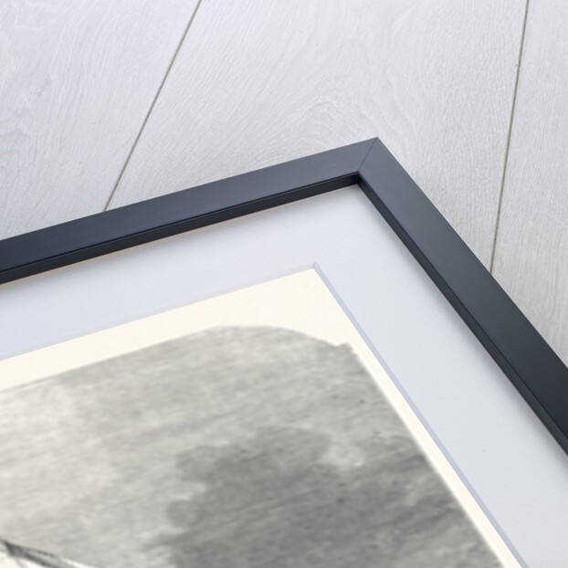 The Royal Thames Yacht Club Match: Finish of the Race 1869 by Anonymous