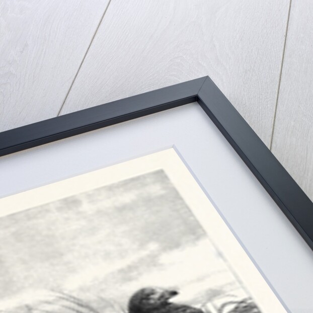 A Brood of Partridges by Anonymous